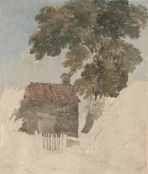 Cottage et arbres